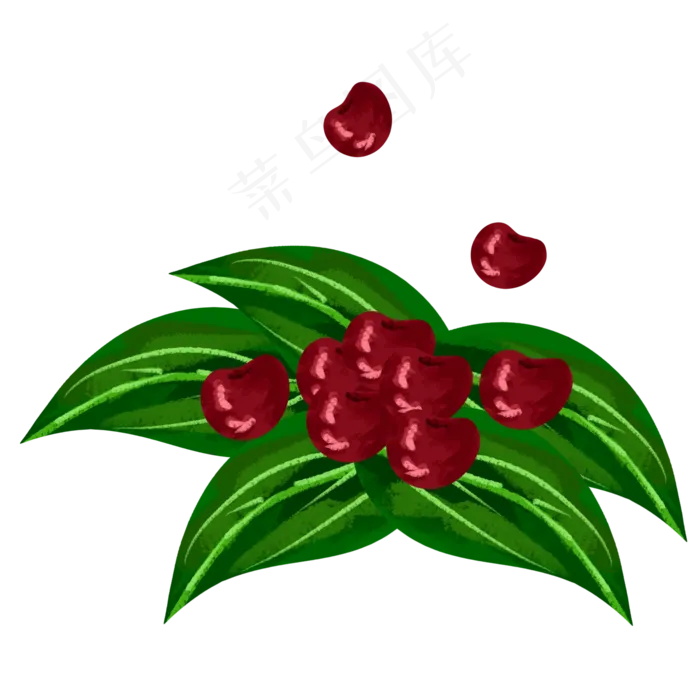 一大片茂盛的水果樱桃(2000X2000(DPI:300))psd模版下载