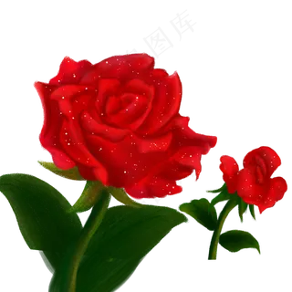 两朵情人玫瑰免扣图