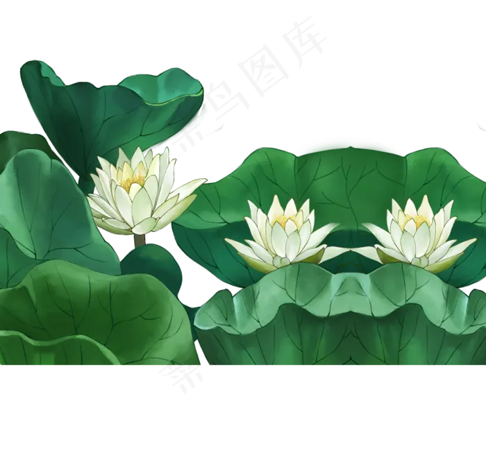 美丽的荷花绿色荷叶(2000X1857(DPI:300))psd模版下载