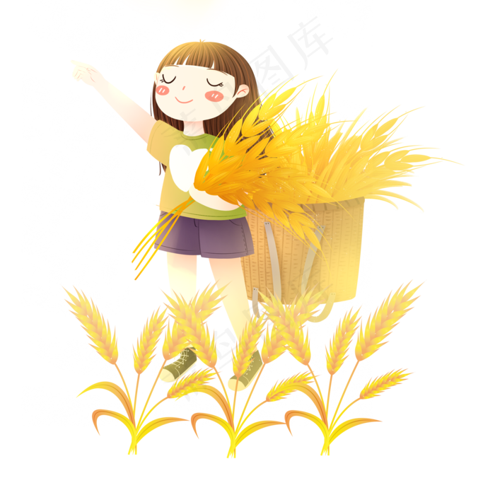 芒种麦穗收麦穗女孩素材