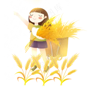 芒种麦穗收麦穗女孩素材 芒种麦穗收麦穗女孩素材