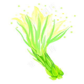 光感彩色荧光唯美霸王花,免抠元素