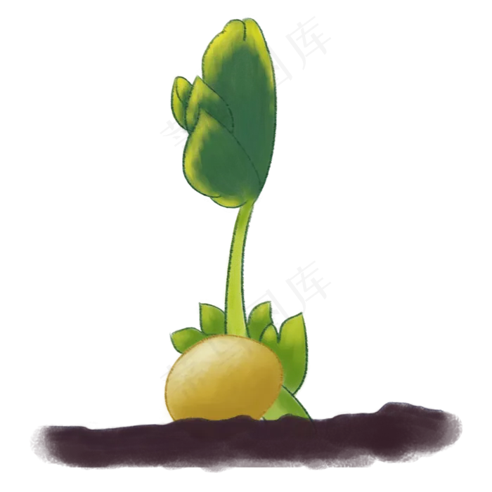 春天发芽的绿色植物小苗,免抠元素