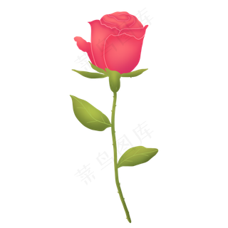 粉红色春天可爱玫瑰花