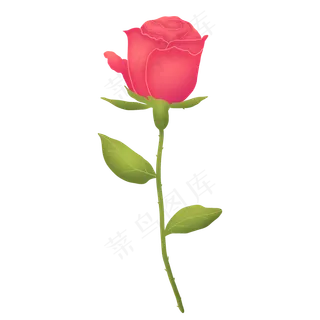 粉红色春天可爱玫瑰花