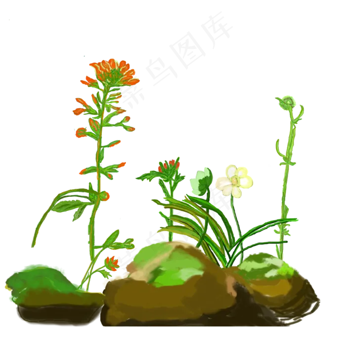 植物花草手绘免扣图(2000X2000(DPI:300))psd模版下载