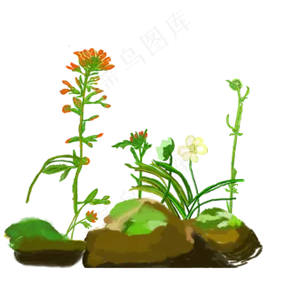 植物花草手绘免扣图