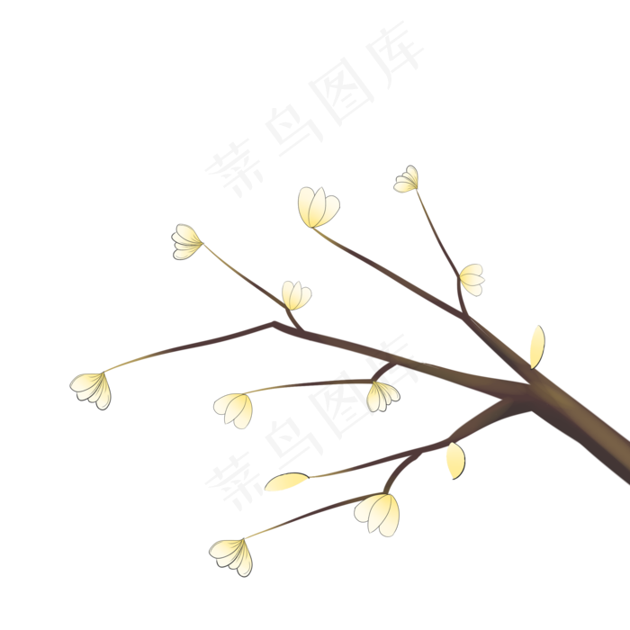 手绘白色的花枝插画