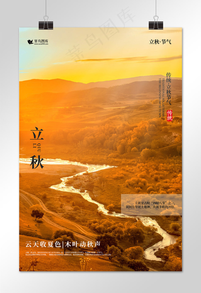 二十四节气立秋黄色简约海报