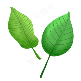 春季植物花纹叶子