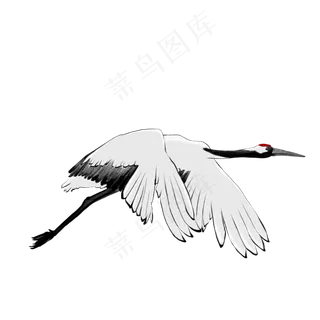 展翅飞翔的丹顶鹤,免抠元素
