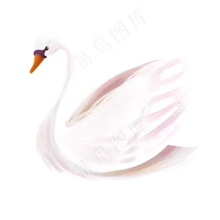 梦幻唯美动物天鹅素材,免抠元素