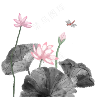 中国风荷花国画水墨