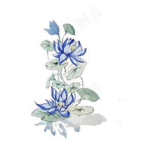 水蓝荷花水彩淡雅夏日莲花花卉P