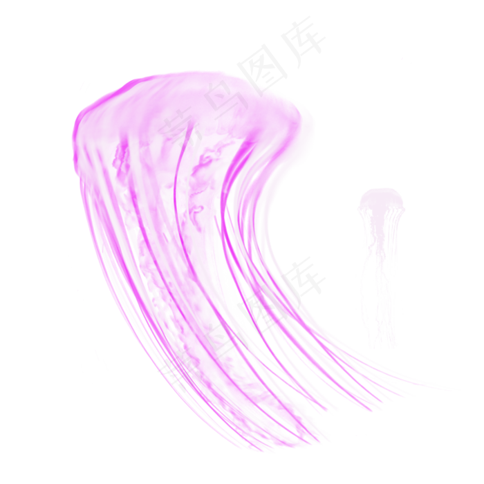 紫色海洋透明生物水母元素,免抠元素