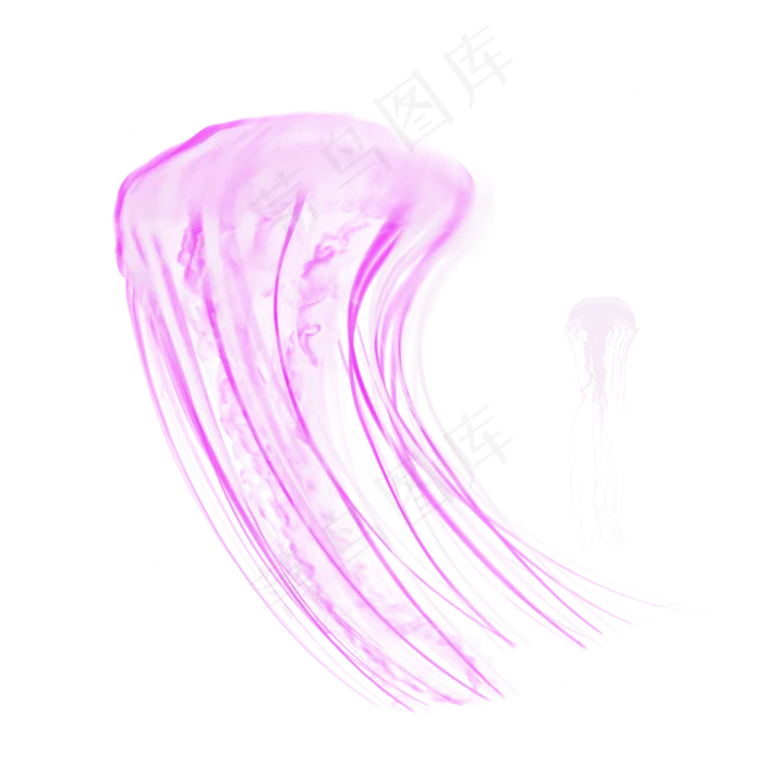 紫色海洋透明生物水母元素,免抠元素(2000*2000px 300 dpi )psd模版下载