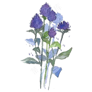 手绘水彩蓝紫色系花朵花束元素免