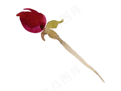 森系小清新水彩手绘花朵玫瑰