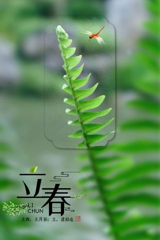 中国风传统节气立春