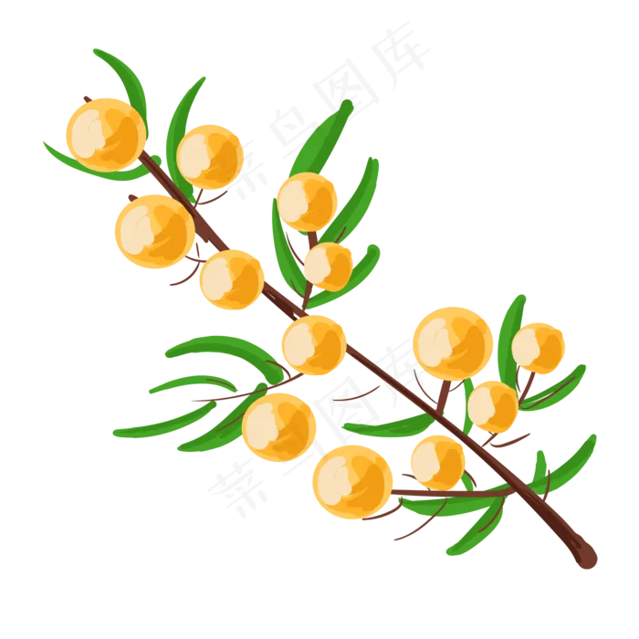 美味水果沙棘(1200X800)ai矢量模版下载
