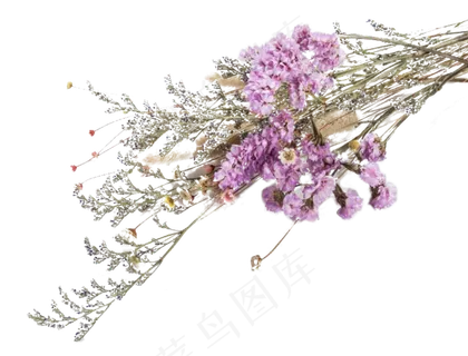 一束干花 一束干花