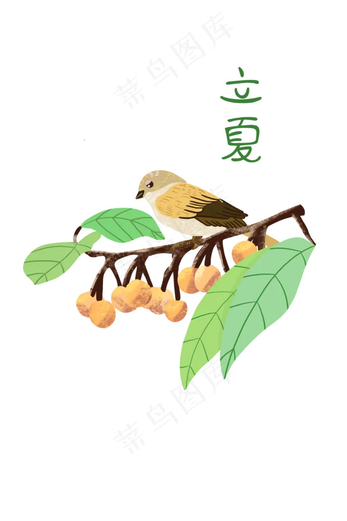 立夏中国风麻雀装饰图(2000X3000(DPI:300))psd模版下载