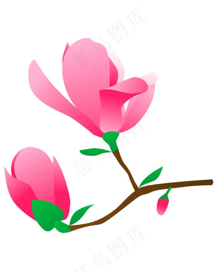 矢量免扣卡通兰花(4167*5208px 300 dpi )ai矢量模版下载
