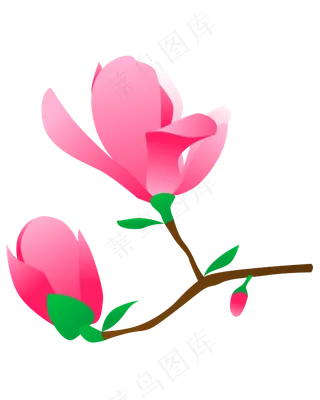 矢量免扣卡通兰花