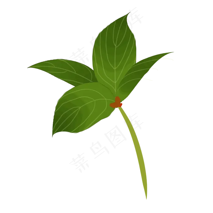 清新绿色树叶装饰免抠插图(2000X2000(DPI:300))psd模版下载