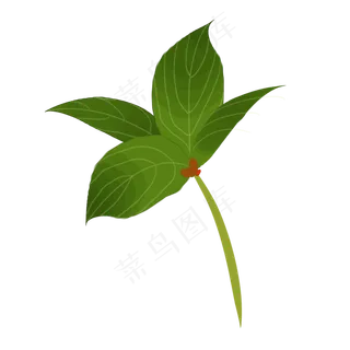 清新绿色树叶装饰免抠插图 清新绿色树叶装饰免抠插图