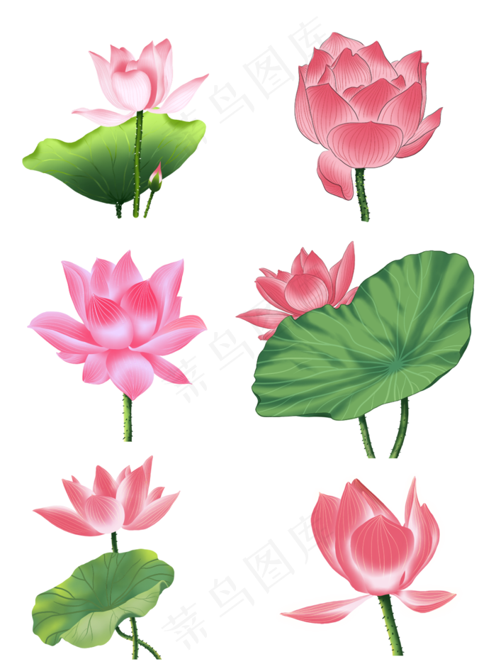 手绘花荷花元素分层国画中国风花(3545X5315(DPI:300))psd模版下载