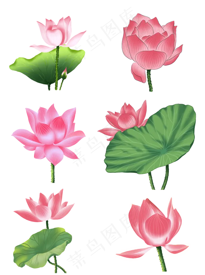 手绘花荷花元素分层国画中国风花(3545X5315(DPI:300))psd模版下载