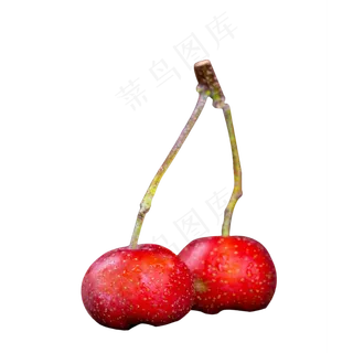 山楂水果山里红,免抠元素