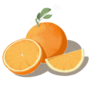 水果手绘卡通小物件橙子矢量图