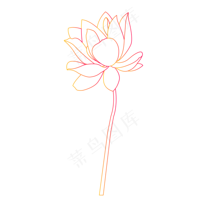 矢量渐变手绘植物花卉荷花线稿