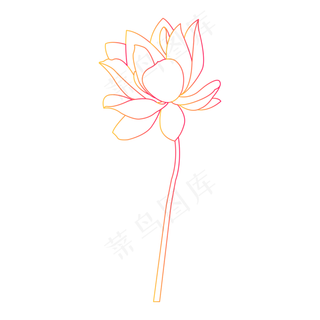 矢量渐变手绘植物花卉荷花线稿