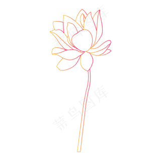 矢量渐变手绘植物花卉荷花线稿