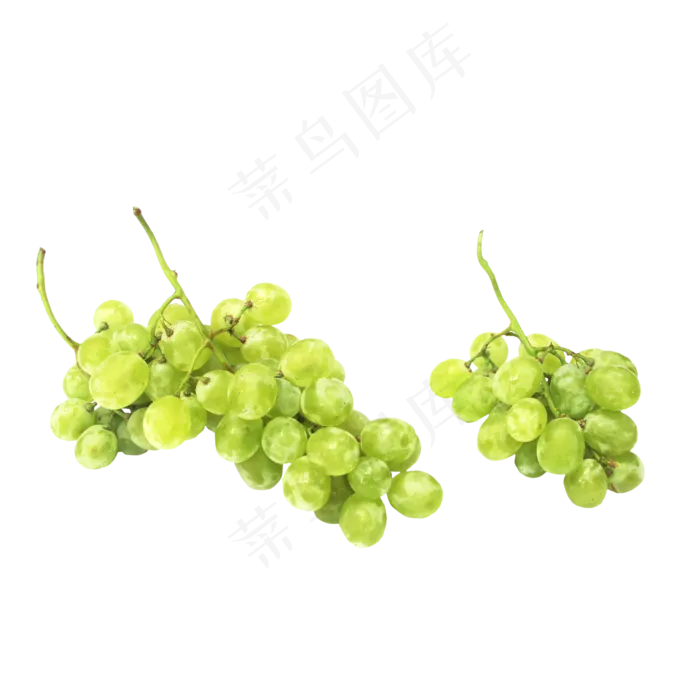 夏日提子青提葡萄(2000X2000(DPI:300))