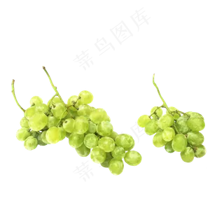 夏日提子青提葡萄