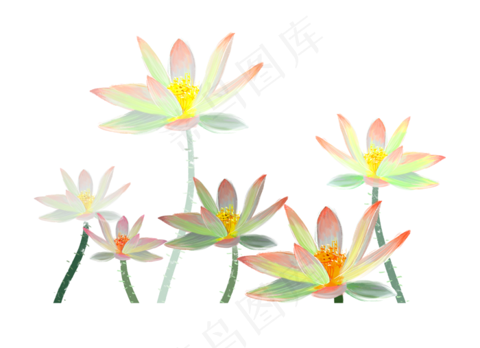 六朵荷花(1423X1030(DPI:300))psd模版下载