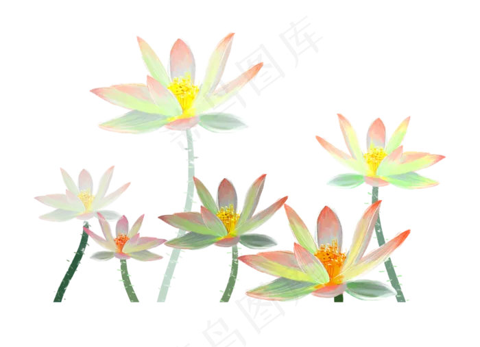 六朵荷花(1423X1030(DPI:300))psd模版下载