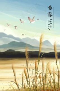 二十四节气白露芦苇地 二十四节气白露芦苇地