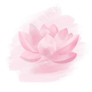 矢量水彩荷花粉色