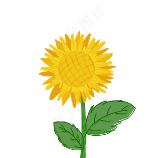 夏季花暖色调向日葵卡通