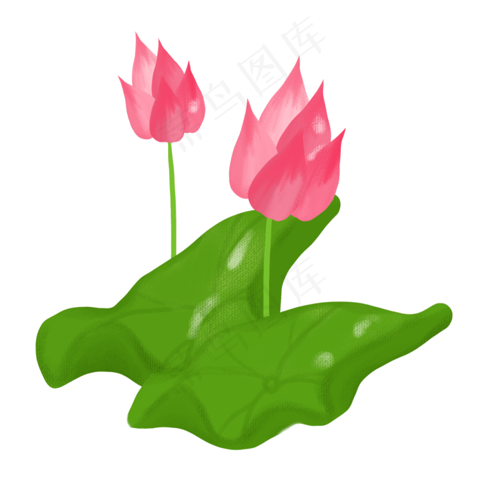 春夏荷花png素材