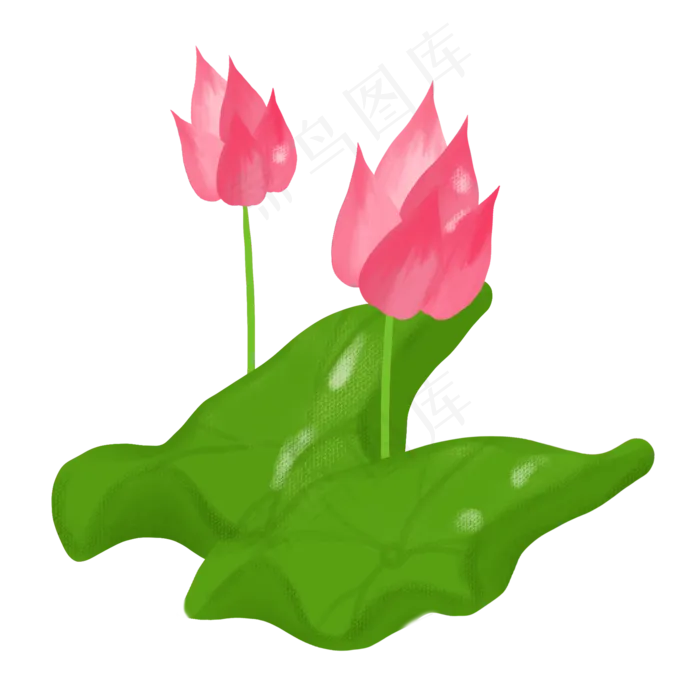 春夏荷花png素材(2000X2000(DPI:300))psd模版下载
