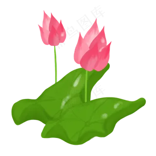 春夏荷花png素材
