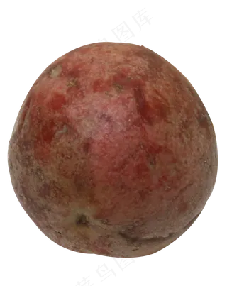 红色椭圆百香果