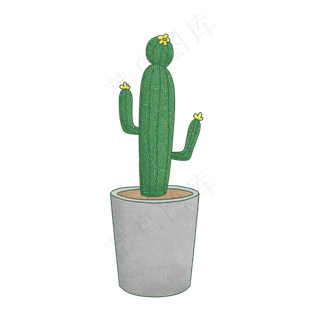 清新文艺风植物多肉仙人掌盆栽,免抠元素