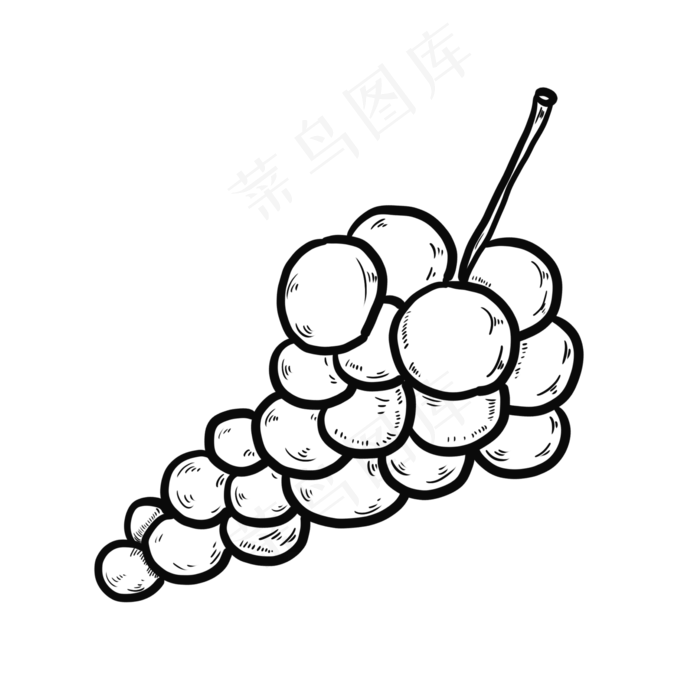 手绘线描黑加仑葡萄矢量图标素材(2000*2000px 150 dpi )psd模版下载
